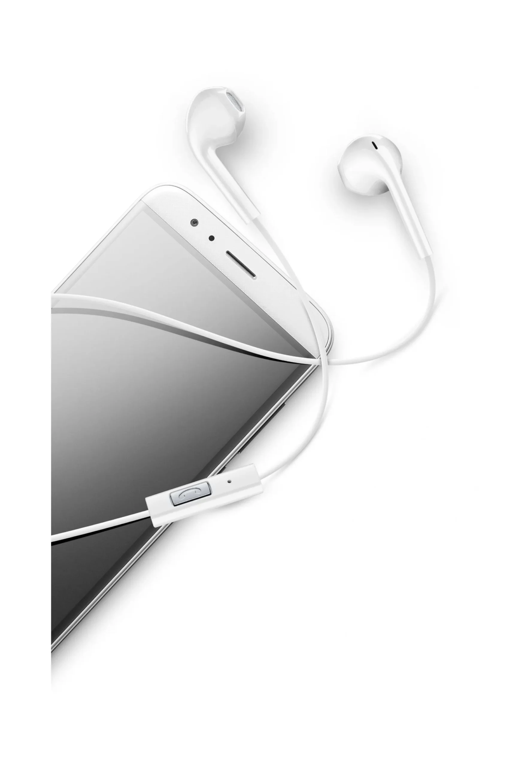 VOICE CAPSULE