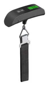 Travel Scale